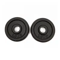 Worqout Weights 1.5Kg Iron Weight Plates x 2 pc - unisex