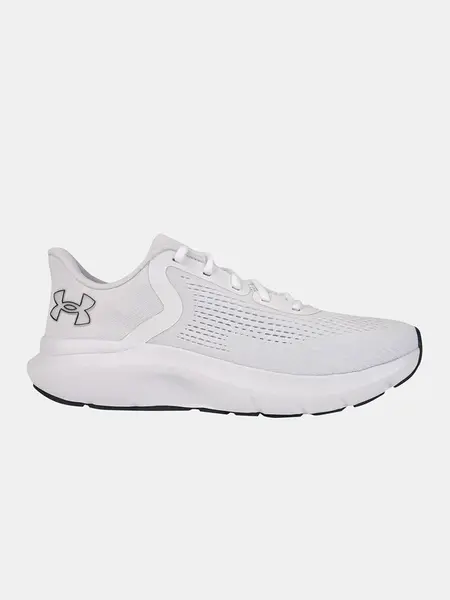 Men's shoes Under Armour UA Charged Rogue 5 - Men's