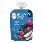 GERBER Kapsička natural lesné ovocie 6m+ 90 g