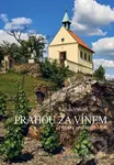 Prahou za vínem (Příběhy pražských vinic) - Radana Vítková