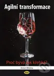 Agilní transformace (Proč bývá tak křehká?) - Anton Březina - kniha z kategorie Programování