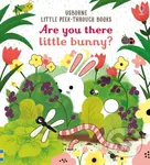Are you there Little Bunny? - Sam Taplin