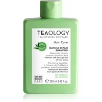 Teaology Matcha Tea Repair Shampoo šampón na posilnenie vlasov 250 ml