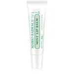 Mario Badescu Mint Lip Balm ultra výživný balzam na pery 10 g
