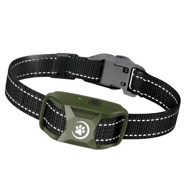 Obojok a prijímač Reedog RS11 | Náhradné príslušenstvo