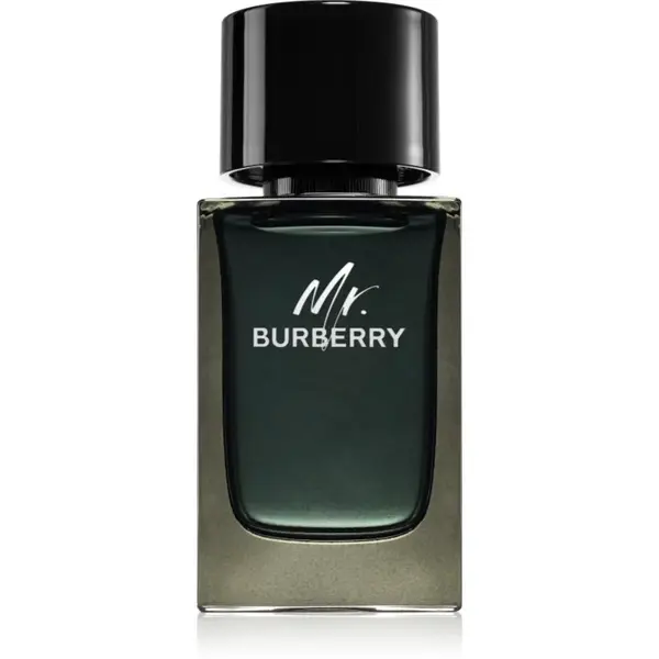 Burberry Mr. Burberry parfumovaná voda pre mužov 100 ml