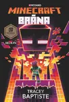 Minecraft Brána
