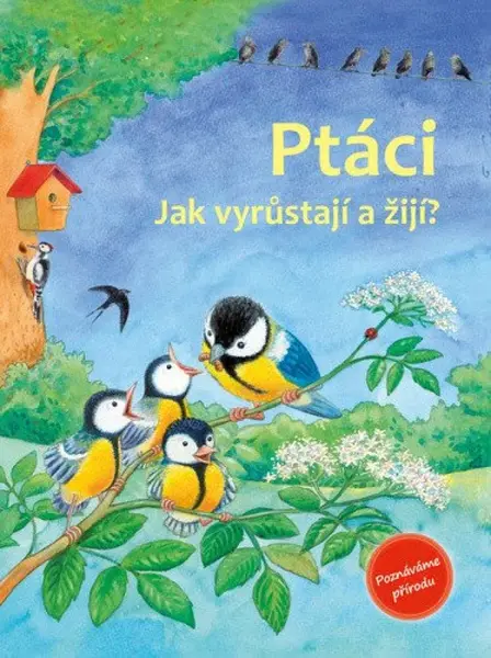 Ptáci - Jak vyrůstají a žijí? - Friederun Reichenstetterová
