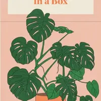 Houseplant Gardener in a Box - Jane Perrone