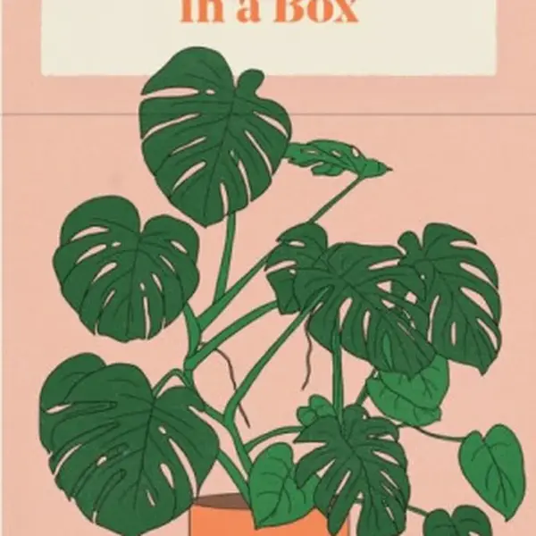 Houseplant Gardener in a Box - Jane Perrone