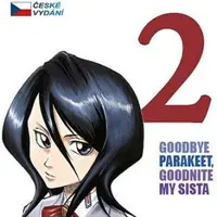 Bleach 2: Goodbye parakeet, goodnight my sista - Tite Kubo