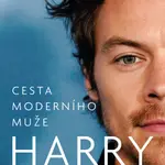 Harry Styles - Sean Smith - e-kniha
