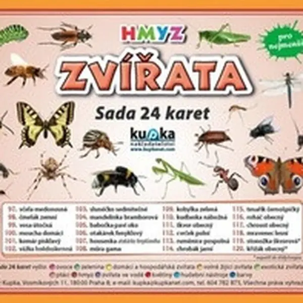 Sada 24 karet Zvířata hmyz - Petr Kupka