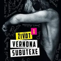 Život Vernona Subutexe 1 - Virginie Despentes