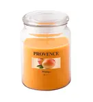 Provence Svíčka ve skle s víčkem Mango 510 g