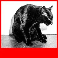 Dunaj, Jana Vébrová – Ilegální tanečnice