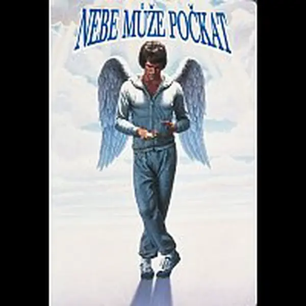 Různí interpreti – Nebe může počkat DVD