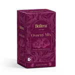 Biogena Traditional Ovocný mix porcovaný ovocný čaj 20x2 g