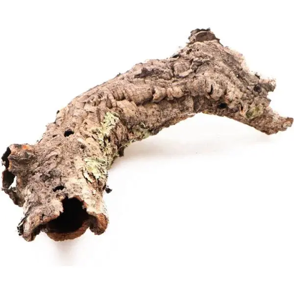 INVITAL Kůra korkového dubu L (do O12 cm)