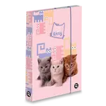 Box na sešity oxybag Mazlíčci - A5
