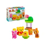 LEGO® DUPLO® 10457 Narozeninová oslava Medvídka Pú