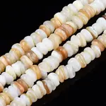 Natural Freshwater Shell Beads Strands