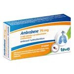 AMBROBENE 75 mg tobolky s prodlouženým uvolňováním 20 kusů