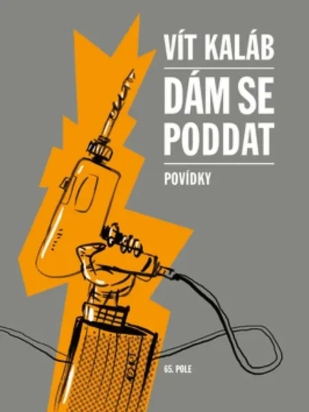 Dám se poddat - Vít Kaláb