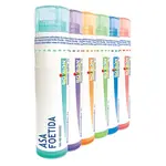 BOIRON Asa foetida 15CH 4 g
