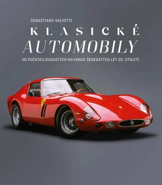 Klasické automobily (poškozené) - Sebastiano Salvetti
