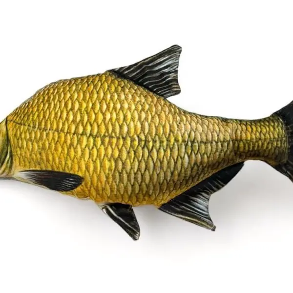 Becare polštář cejn 37 cm