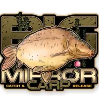 4anglersdesign samolepka 41 big mirror carp
