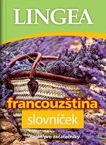 Francouzština - slovníček