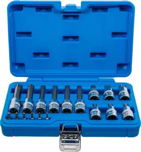 BGS technic Zástrčné hlavice TORX 1/4" a 1/2", T10-T60, sada 18 dílů - BGS 5173