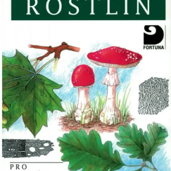 Biologie rostlin - Jan Kincl