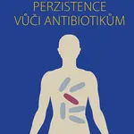 Bakteriální perzistence vůči antibiotikům - Melter Oto - e-kniha