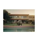 Plagát a.i art HARTMAN Urban Zoo, 30 x 40 cm