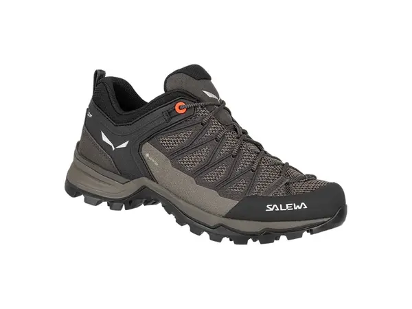 Salewa Mtn trainer lite GTX EU 42 ½, Wallnut/Fluo Coral Dámské boty
