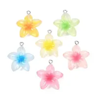 Transparent Resin Pendants