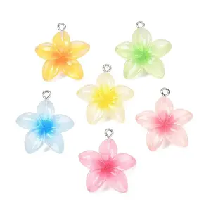 Transparent Resin Pendants