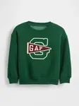 GAP Baby Sweatshirt VintageSoft - Boys