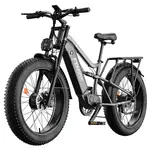 FENGQS H6PRO Electric Bike 1000W*2 52V 17.5Ah Grey