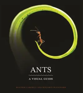 Ants - Benjamin Blanchard, Heather Campbell