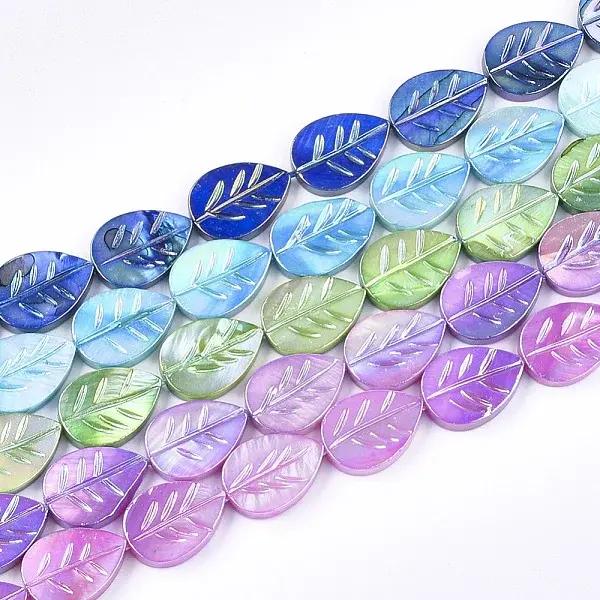 Freshwater Shell Beads Strands