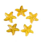 Natural Freshwater Shell Carved Pendants