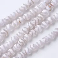 Tibetan Style dZi Beads