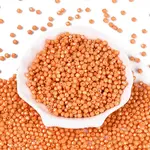 Baking Paint Pearlized Glass Seed Beads