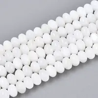 Natural Freshwater Shell Beads Strands