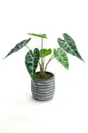 Umělá rostlina v květináči home & lifestyle 30 x 27 cm
