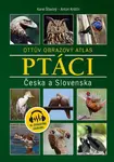 Ptáci Česka a Slovenska (Ottův obrazový atlas) - Karel Šťastný, Anton Krištín - kniha z kategorie Chov zvířat